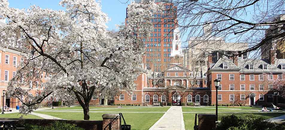 Make the Most of a Spring Admission
